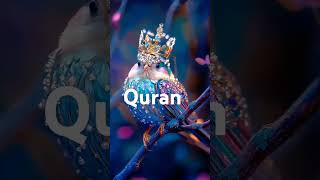 Quran aayat Urdu translation urdu quran [upl. by Ko]