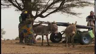 Walo Walo  Documentaire noncommerciale sur lEau Potable au Sénégal 2009 [upl. by Nataline292]