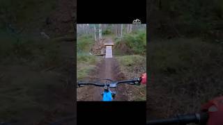 Epic Custom built MTB Trails 🌲🚴💨 MTB Downhill EpicTrails [upl. by Linoel]