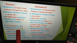 Difference between Amylose and Amylopectin [upl. by O'Neil]