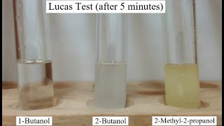 Lucas Test for Alcohols [upl. by Rola759]