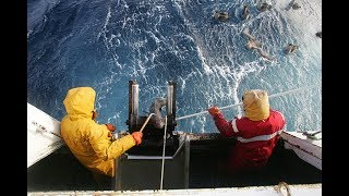 Reportage  Lor bleu des Kerguelen [upl. by Goddard]