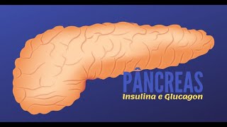 Diabetes e Exercício Físico  Aula 2  Pâncreas Insulina e Glucagon  Profa Marcela Nolêto [upl. by Linoel]