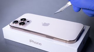 iPhone 16 Pro Max Unboxing and Camera Test  ASMR [upl. by Nnahgem]