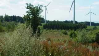 Panorama Windwahn im Vogelsberg die quotAlte Höhequot bei Altenhain [upl. by Gross366]