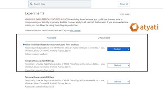 Download Chrome With Invalid Flag Local Host UBIwebkiosk [upl. by Waneta963]