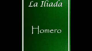 LA ILIADA  HOMERO AUDIOLIBRO COMPLETO CANTO 524 [upl. by Dorsy]