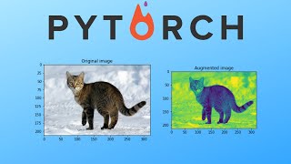 Pytorch Data Augmentation using Torchvision [upl. by Ruffo]