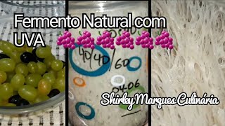 COMO FAZER FERMENTO NATURAL COM UVA [upl. by Morrison]