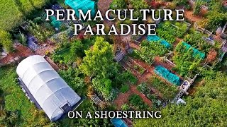 Inspirational SmallScale Permaculture Homestead  Low Cost SelfSufficiency on Less Than an Acre [upl. by Cheyney15]