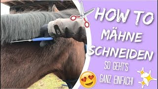 HOWTO MÄHNE SCHNEIDEN  Wie frisiere ich Püppis Mähne  Tipps und Tricks Pferdepflege  jb Horses [upl. by Gal]