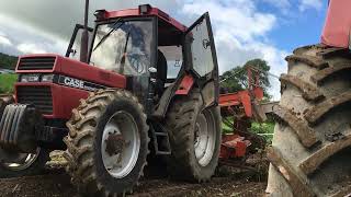 Organic potato harvest 2020 [upl. by Sivahc]