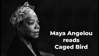 MAYA ANGELOU reads quotCaged Birdquot [upl. by Ennybor]