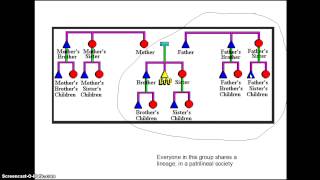 Kinship presentation [upl. by Ettore]