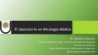 El laboratorio en Micología Médica Diagnóstico de micosis endémicas Paracoccidioidomicosis [upl. by Ayram]