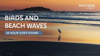 Tropical Birds and Waves  10 Hours Sleep Sound  Black Screen [upl. by Anileve714]