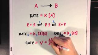 An Introduction To Enzyme Kinetics [upl. by Auberon]