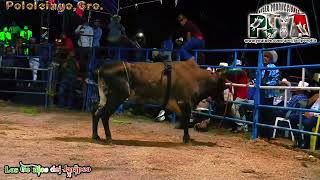 🔥UN TORO MUY CUMPLIDOR 🔥el canelazo de rancho el canelo tremendo porrazon a la leyenda de las tunas [upl. by Martainn290]