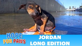 Jordans Journey  The extended version dog [upl. by Notniuq]