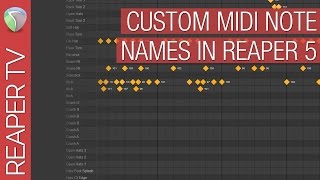 Naming Midi Drum Maps in Reaper DAW [upl. by Ahiel]