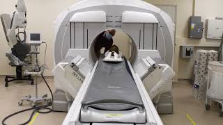 Mummified head and cat CT scan full video [upl. by Cavuoto910]