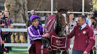 An Honest Day Punting  Longchamp  Part 1 [upl. by Quackenbush]