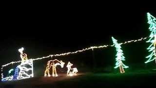 Christmas Tree Farm and Christmas Light Hayride Southern California December 2023 Los Angeles area [upl. by Edasalof]