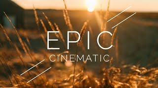 No Copyright Epic Cinematic Background Music For Documentary Videos 🎵  Movie by Aylex [upl. by Asoj]