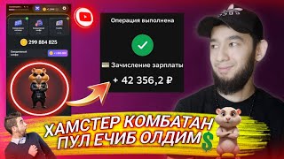 хамстер комбатан кандей пул ишласа булади hamster kombat nima ozi [upl. by Oned]