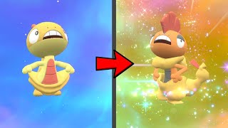 How to Evolve Scraggy into Scrafty in Pokemon Scarlet amp Violet DLC [upl. by Diskin]