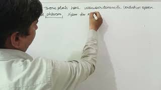 VASCULAR PLANTS KINGDOM PLANTIA CLASS 11 BIOLOGY FOR NEET [upl. by Sirhc436]