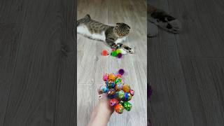 Funny Cat Barsik Balls 🔴🍭 Reverse Video reversevideo marblerunandmore cat [upl. by Adriane]