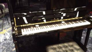 Brodmann PE130 Upright Piano [upl. by Niarbo]