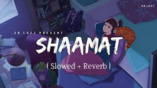 Shaamat  Lofi Slowed  Reverb  Ankit Tiwari Tara Sutaria  SR Lofi [upl. by Acalia]