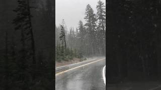 Snow Flurries at Crater Lake National Park 🌨️ [upl. by Eibbil798]