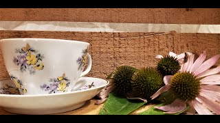 Immune Support Tea Echinacea [upl. by Bethel734]