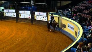 00133 Western Horsemanship AQHA World Show rail work [upl. by Eruot780]