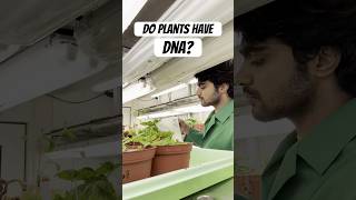 My experiment with Plant DNA 🧬  Tamil Scientist in Germany scienceexperiment tamilsciencechannel [upl. by Annaitsirhc]