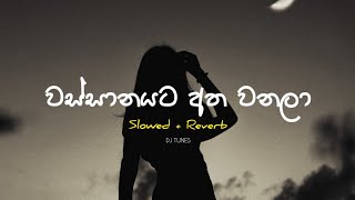 Wassanayata Atha Wanala SlowedReverb වස්සානයට අත වනලා  Umara Sinhawansa [upl. by Aunson]