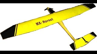 Hornet Ttail RC Powered Glider ARF [upl. by Pyle]