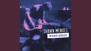 Stitches MTV Unplugged [upl. by Chilton]