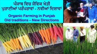 Organic Farming ਜੈਵਿਕ ਖੇਤੀ in Punjab Old Traditions New Directions Documentary [upl. by Aidin]