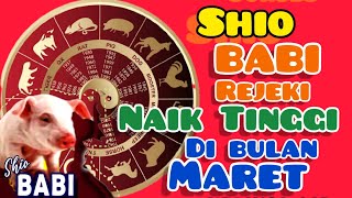 Shio BABI 🐷 bulan MARET Rejeki datang silih berganti  asmara ada kebaikan [upl. by Zeeba857]