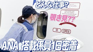 【ANAの搭載係員1日密着】羽田空港国内線の業務を大公開！ [upl. by Noyerb744]