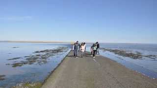 Lindisfarne Holy Island Causeway Tide Timelapse [upl. by Adnav556]