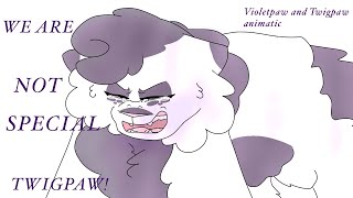 WERE NOT SPECIAL TWIGPAW  Violetpaw and Twigpaw animatic [upl. by Yeh648]