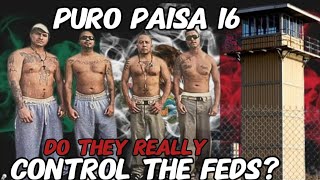 PAISA 16 DO THEY RUN THE FED PRISONS  WHAT HAPPENED TO A NORTENO CLAIMING PAISA norte MEXICAN [upl. by Kurtzig854]