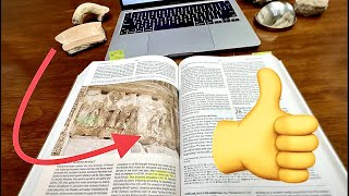 ARCHEOLOGY STUDY BIBLE Review [upl. by Rafter924]