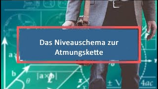 Das Niveauschema zur Atmungskette [upl. by Benyamin]