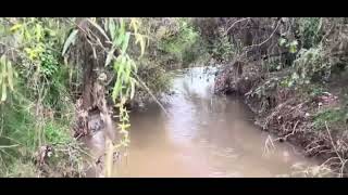 Contaminación del agua en tenancingo de Degollado [upl. by Amary]